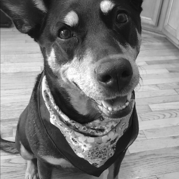 Meet your Posher, Shawn - Picture 1 of 1